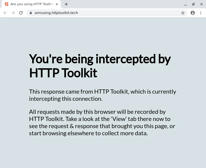 A Chrome window showing the intercepted AmIUsing page