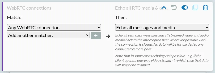 A rule echoing all WebRTC content