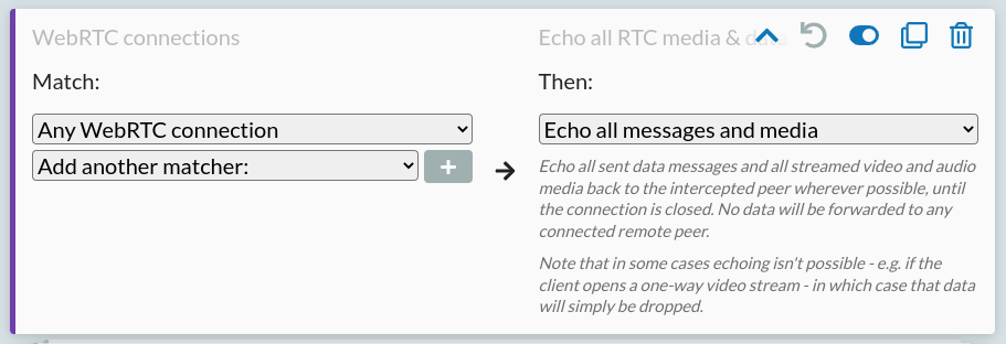 A rule echoing all WebRTC content
